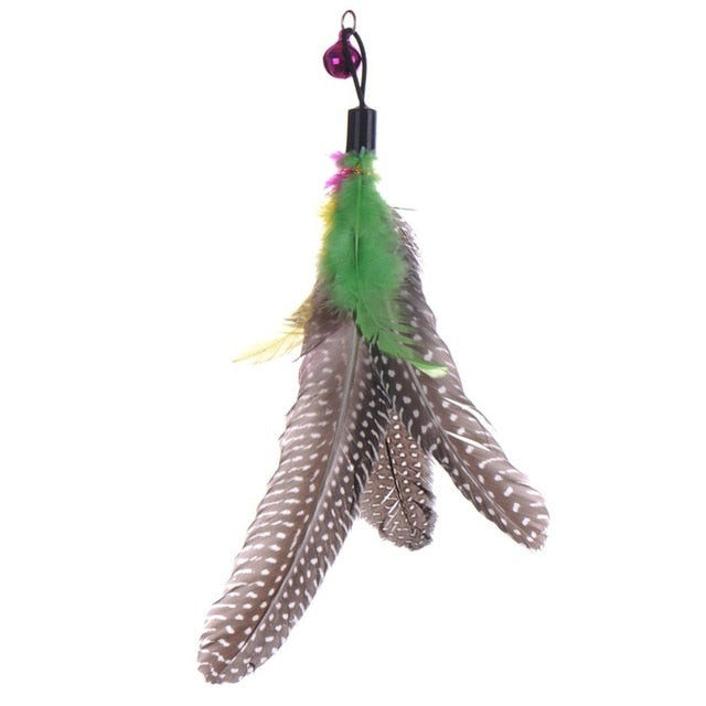 High Quality Bird Feather Cat Teaser