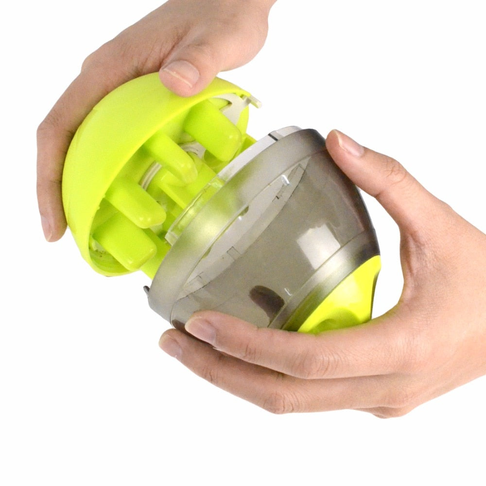 Interactive Treat Dispenser Dog Toy